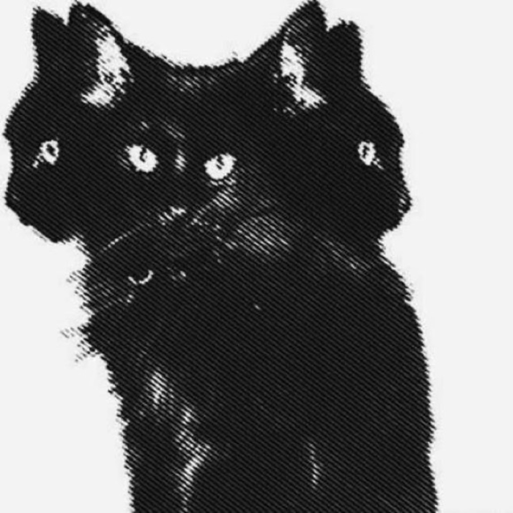 Meet your Posher, Lizbeth